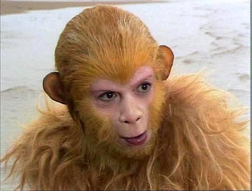 Từ khi còn là một con khỉ mới xuất thân từ tảng đá tu luyện ngàn năm - Thạch Hầu.